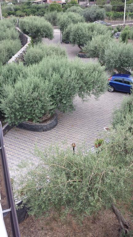 Azienda Agricola Cuntarati Bronte Buitenkant foto